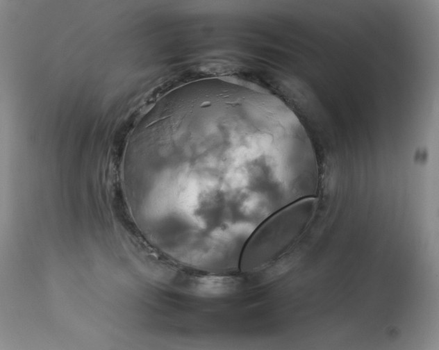 X0000114110371200910051519