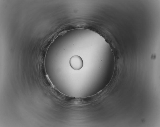 X0000114110372200910051519