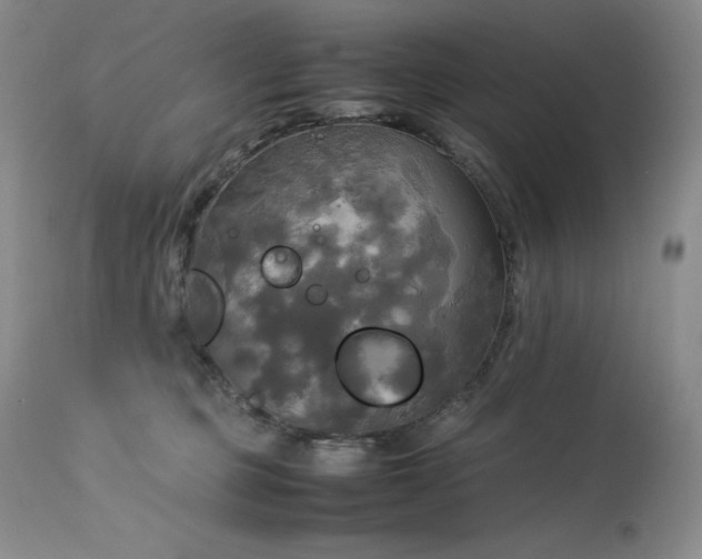 X0000114110373200910051519