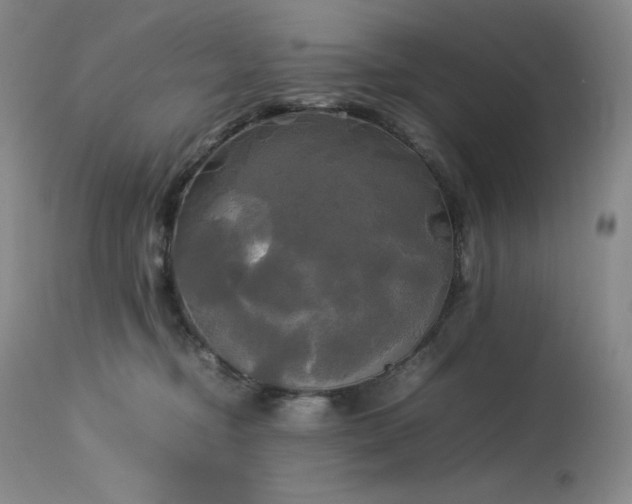 X0000114110374200910051519