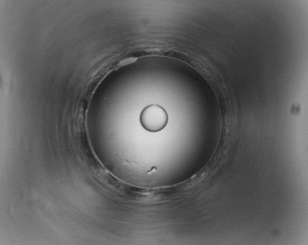 X0000114110376200910051519