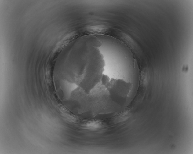 X0000114110377200910051519