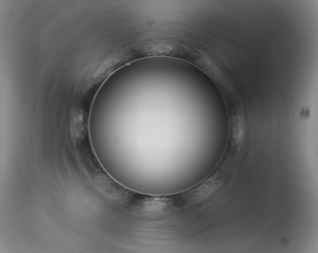 X0000114110378200910051519