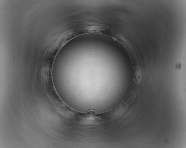 X0000114110379200910051519