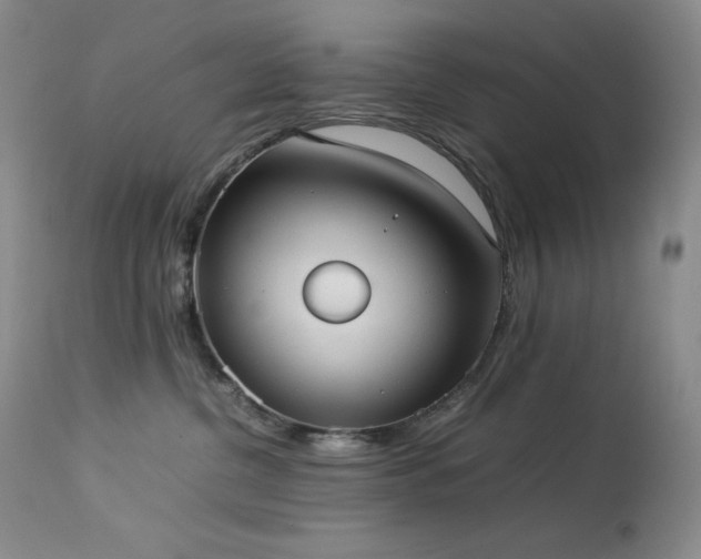 X0000114110380200910051519