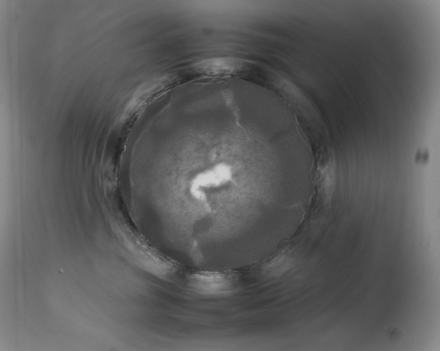 X0000114110381200910051519