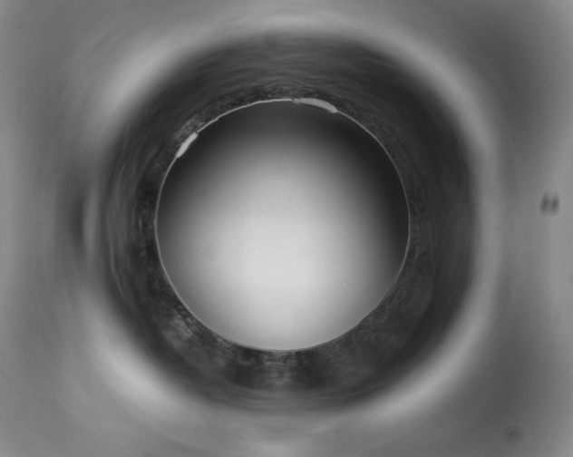 X0000114110382200910051519