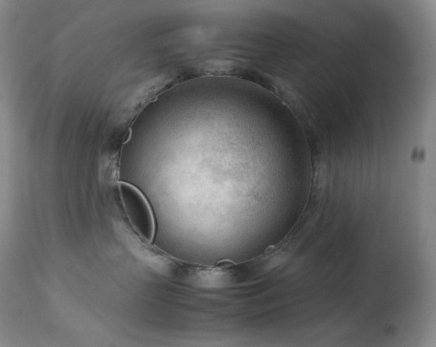 X0000114110383200910051519