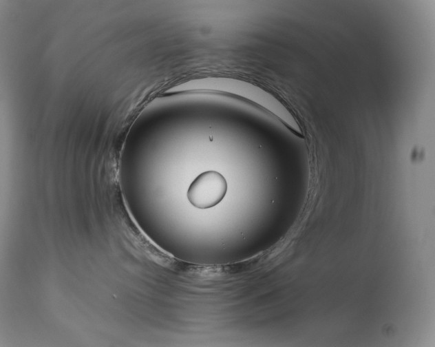 X0000114110384200910051519