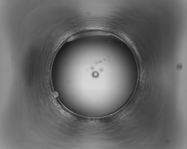 X0000114110385200910051519