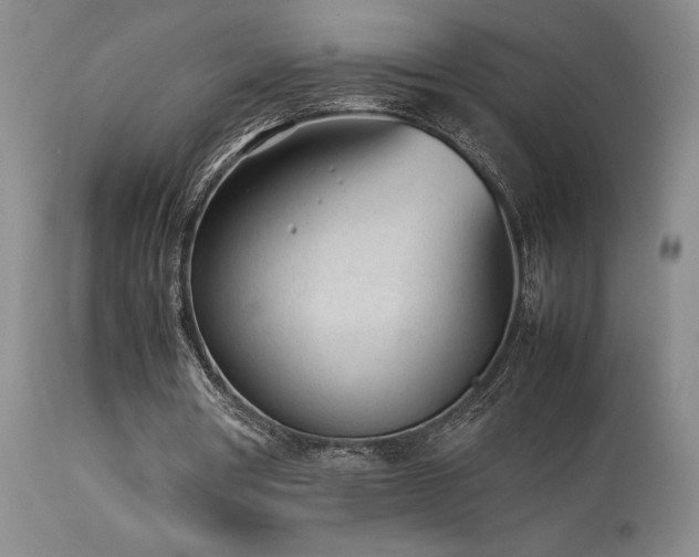 X0000114110386200910051519