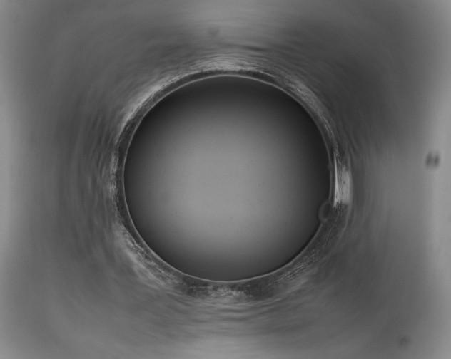 X0000114110387200910051519