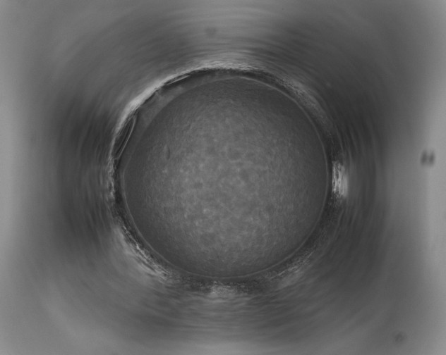 X0000114110388200910051519