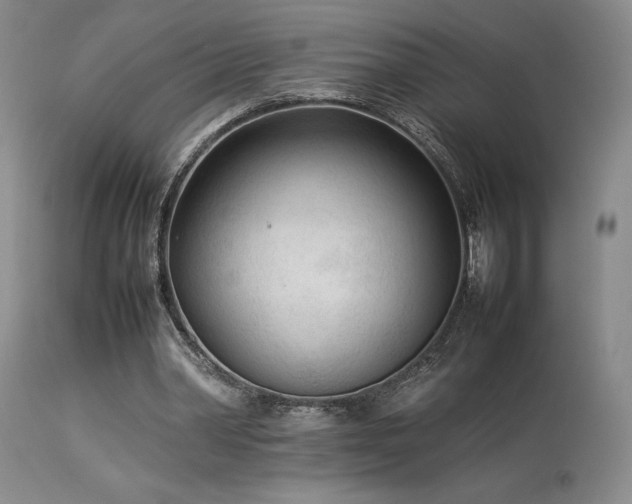 X0000114110390200910051519