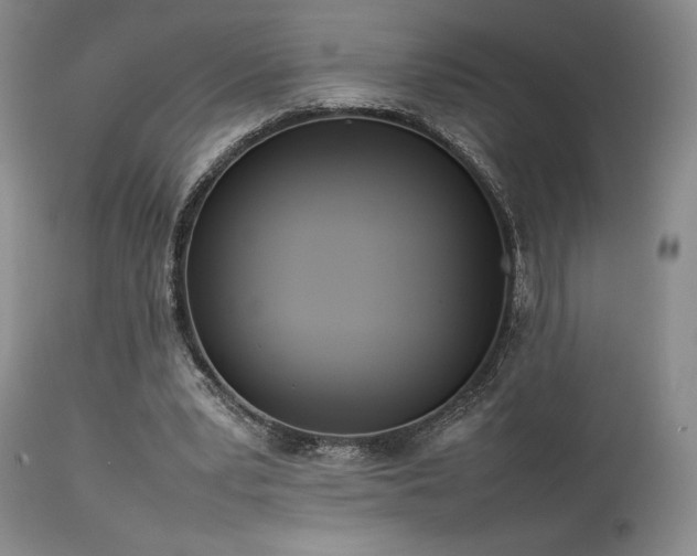 X0000114110391200910051518