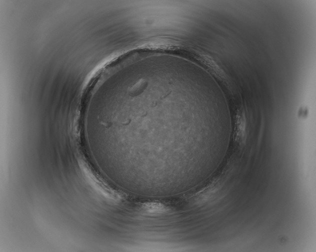 X0000114110392200910051518