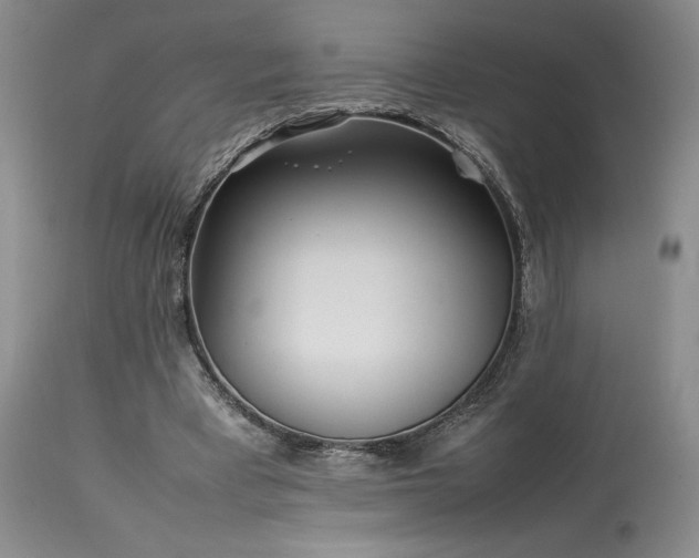 X0000114110393200910051518