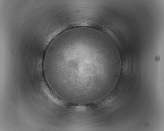 X0000114110394200910051518