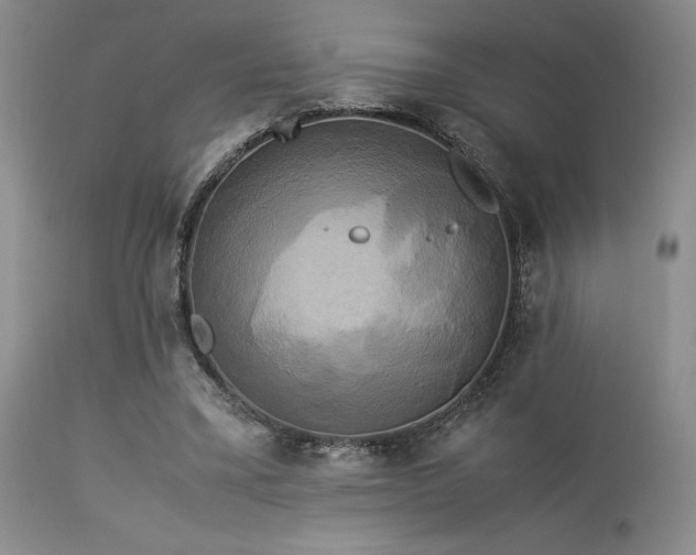 X0000114110395200910051518