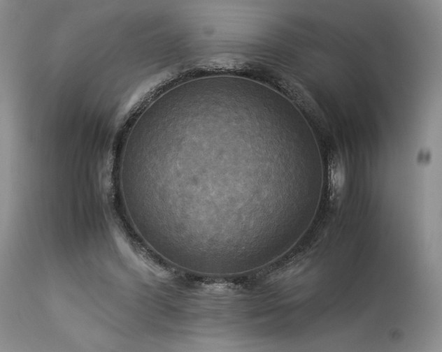 X0000114110396200910051518