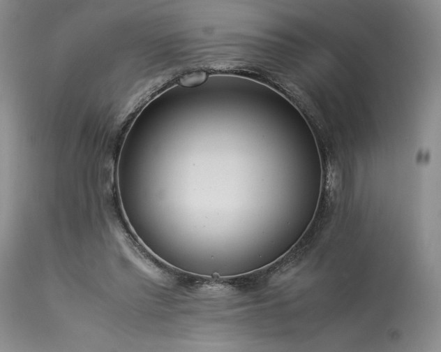 X0000114110397200910051518