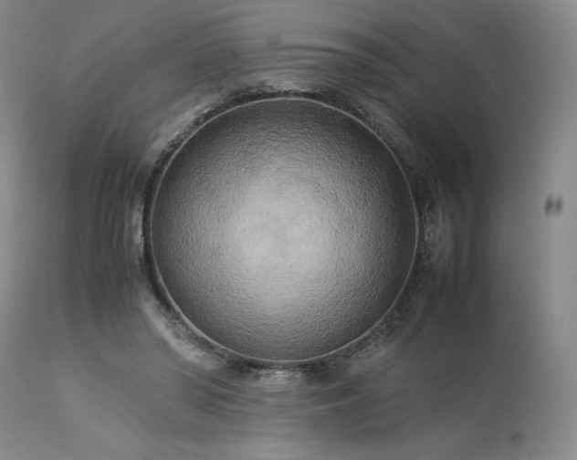 X0000114110398200910051518