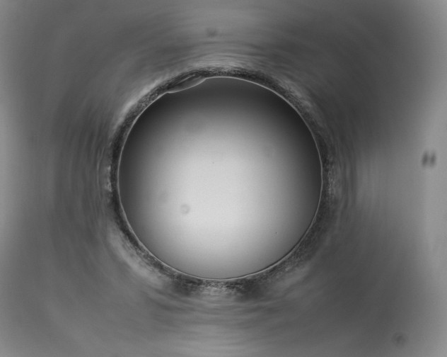 X0000114110399200910051518