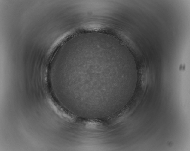 X0000114110400200910051518