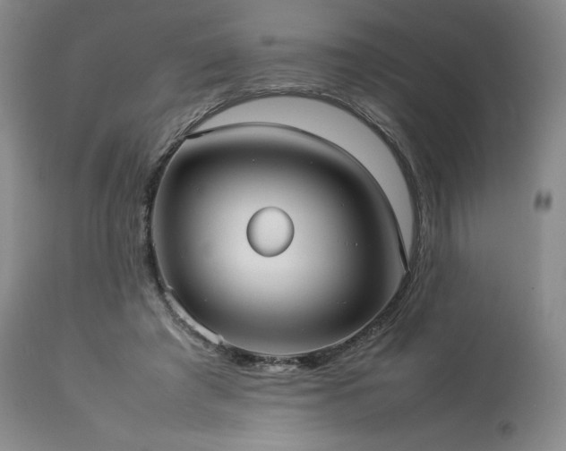 X0000114110401200910051518