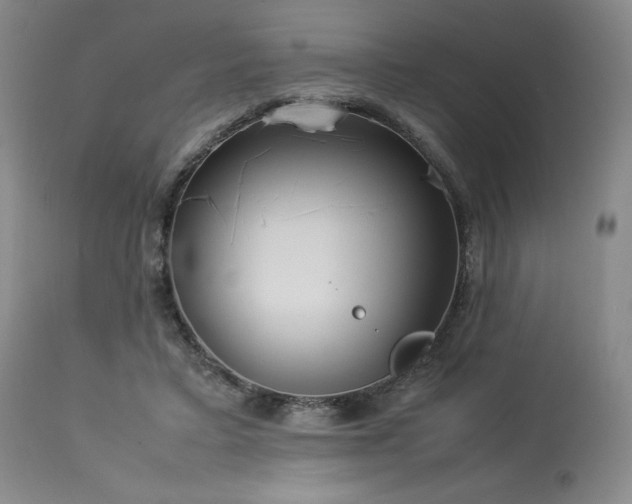 X0000114110403200910051518