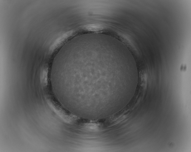 X0000114110404200910051518