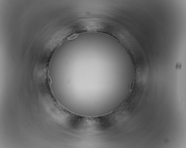 X0000114110405200910051518