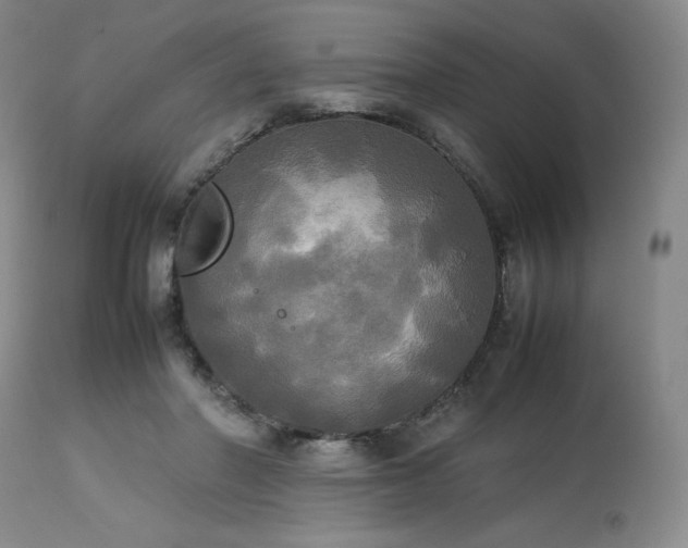 X0000114110406200910051518