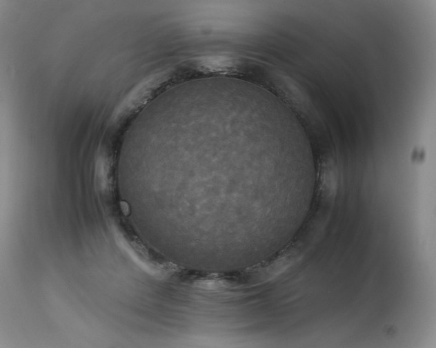 X0000114110408200910051518