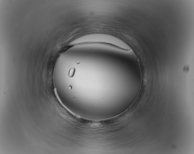 X0000114110409200910051518