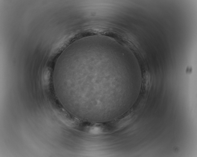X0000114110412200910051518