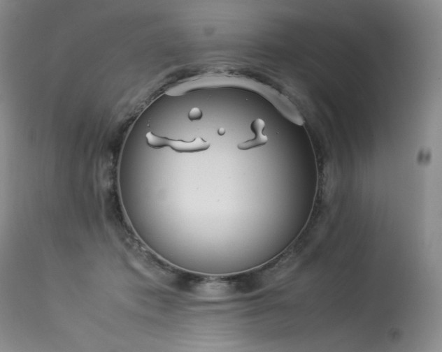 X0000114110413200910051518