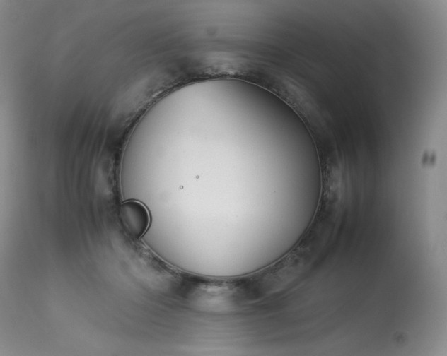 X0000114110414200910051518