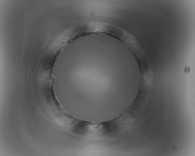 X0000114110415200910051518