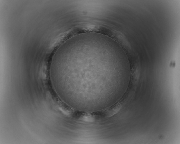 X0000114110416200910051518