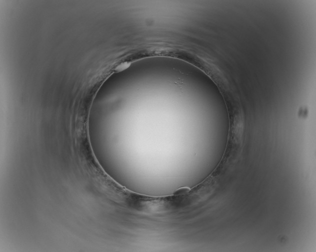 X0000114110417200910051518