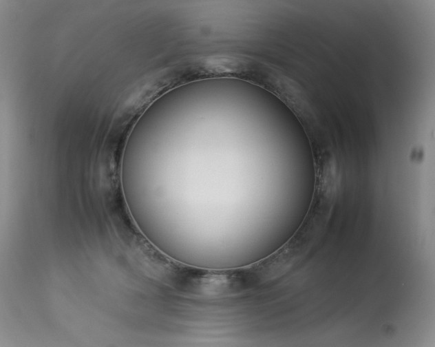 X0000114110418200910051518