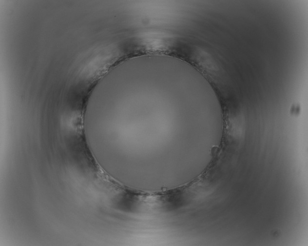 X0000114110419200910051518