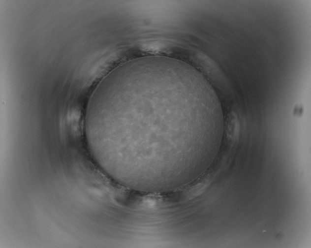 X0000114110420200910051518