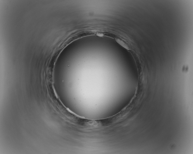 X0000114110421200910051518
