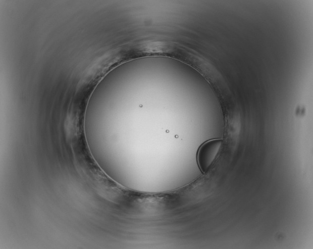 X0000114110422200910051518