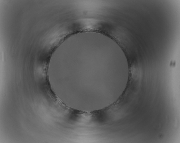 X0000114110423200910051518