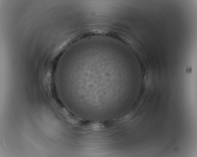 X0000114110424200910051518