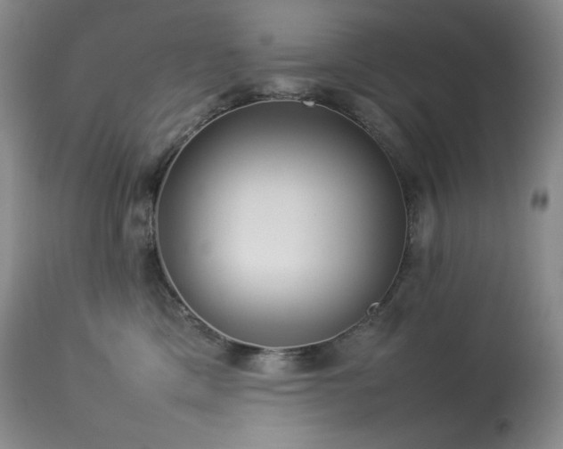 X0000114110425200910051518
