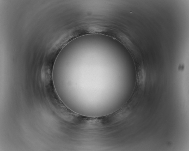 X0000114110426200910051518